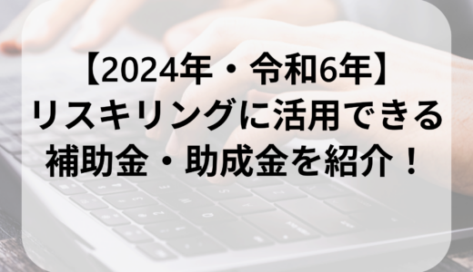 【2024年版】リスキリングに活用できる補助金・助成金をご紹介！